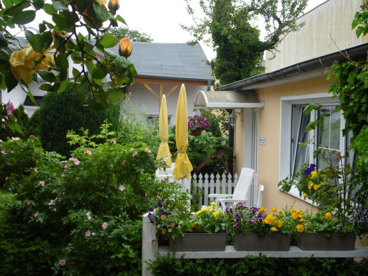 Haus Sandra Heringsdorf  Exterior foto