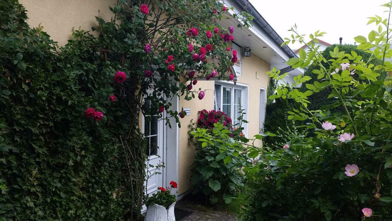 Haus Sandra Heringsdorf  Exterior foto